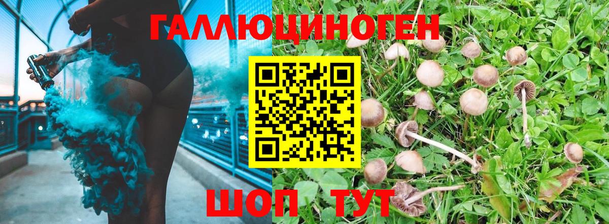Тамбов  Псилоцибиновые грибы мицелий  закладки  Вход с VPN 
