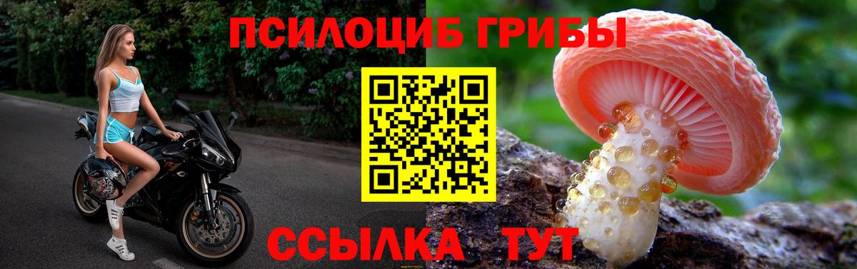 Галлюциногенные грибы GOLDEN TEACHER Тамбов